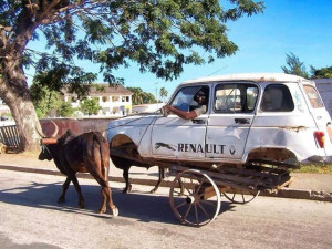 car cart